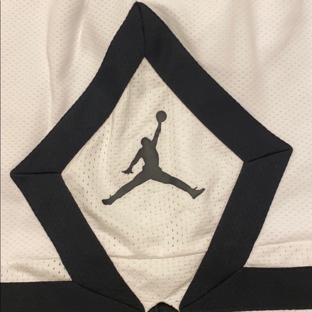 Air Jordan Men’s Shorts - Picture 9 of 15